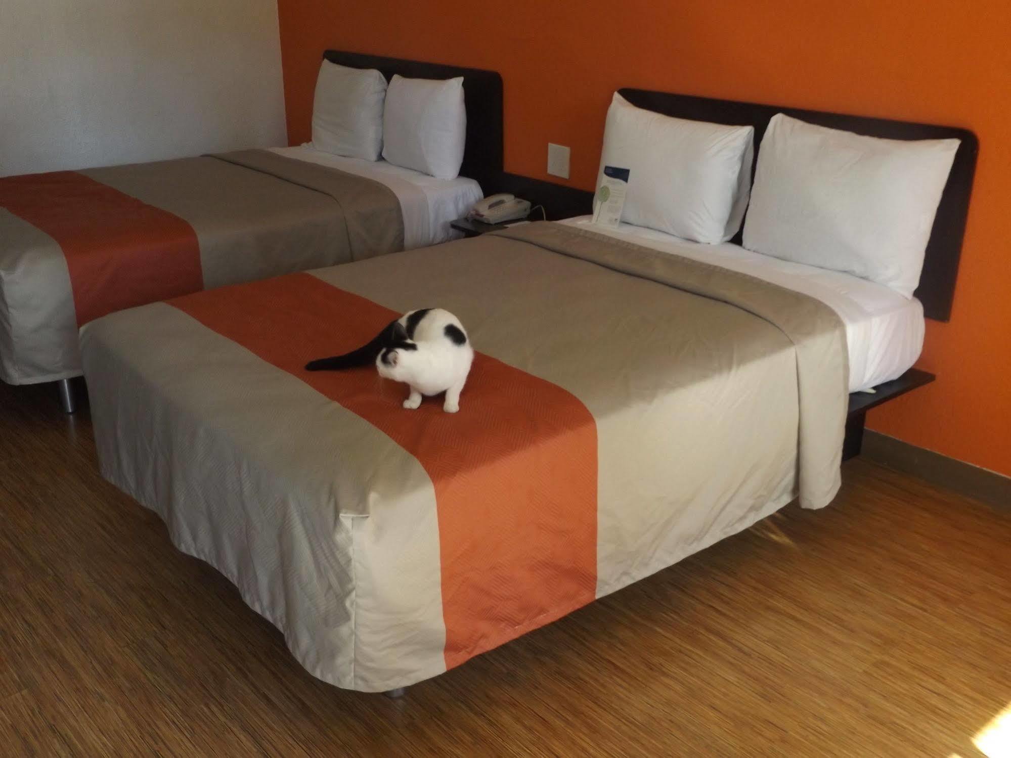Motel 6 Glendale Az Екстериор снимка